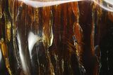 Piece Of Polished Indonesian Amber - Massive! #244154-3